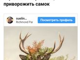 Альфа самец ?