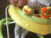 Миленький мой помощник ♥️♥️♥️