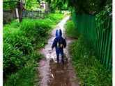 Вы гуляете под дождем?