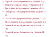 8 месяц Девочки, с