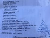 По узи срок 3-4 нед