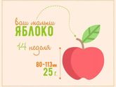 1️⃣4️⃣ недель ❤️❤️.