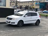 Получение водительского удостоверения. Поплакаться что ль?