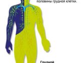 Сильно только не нападайте и не плюйтесь ядом))