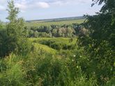 Утро понедельника, 11