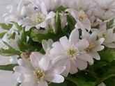 Итак, что мы имеем)