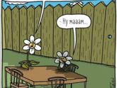 Мамы такие мамы