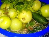 Соленья бочковые у себя дома. Вкусные, как на продажу!
