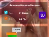 12я неделя! Долгожданная!