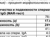 Девочки