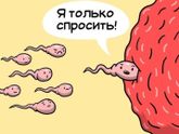 Немного юмора?
