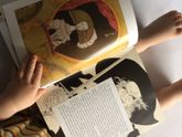 Дон Кихот в иллюстрациях Криса Ридделля