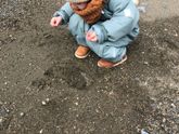 Купили бы такую для
