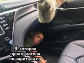 🤣🤣