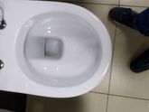 Какой у вас унитаз??