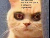 Позитивчик в карантин ?