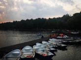 Погуляли в Измайловском парке ❤️