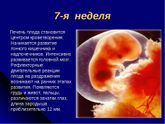 Вообщем 3 врача +