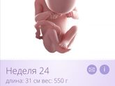 2️⃣4️⃣недели