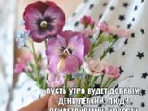 Фотография 2019-05-01 05:39:17