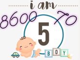 5 месяцев