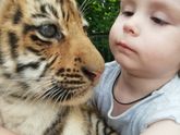Поделюсь сначала впечатлением о поездке в Крым и парк Тайган