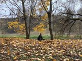 3-Я попытка стимуляции перед