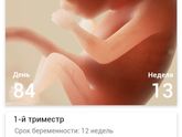 Здравствуй 12 недель 😍🙏Почти