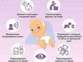 Ребёнок в 6 месяцев