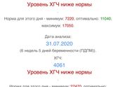 Хгч