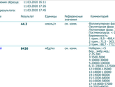 Всем добрый вечер.