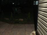 Наши майские и парочка вопросов)