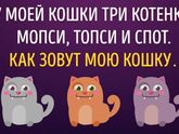 Я так имя кошки