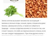 Клопы Девочки беда месяц