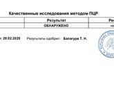 Анализ ЦМВ по крови
