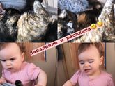 Почему все так переживают