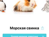 Моя лапочка, так время