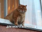 Я на НГ ?