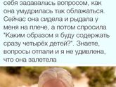 Немного юмора