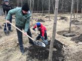 Именное дерево:)