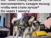 Фотография 2020-05-16 23:44:41