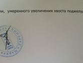 Узи брюшной полости. SOS. Ребенку 1 год