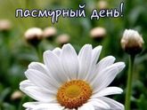 Я так переживаю за