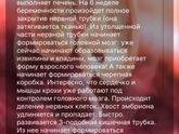 Началась 6 неделя❤️