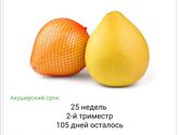 25 недель ?