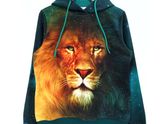 Шикарный лев 🦁