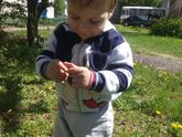 Материнская школа
