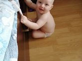 Полгода