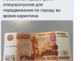 Фотография 2020-04-01 15:13:12