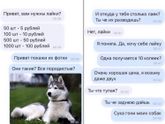 😂😂😂